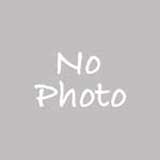 バラ ｜花の手帖の薔薇図鑑